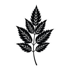 Elegant Black Leaf Silhouette Botanical Illustration