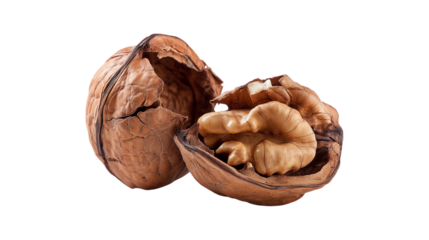 Cracked Walnut Shell with Nut Kernel