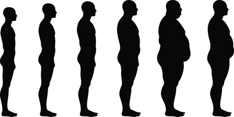 Human body silhouette evolution showing physical changes, different body types comparison, health, fitness, weight progression, diversity, anatomy awareness concept