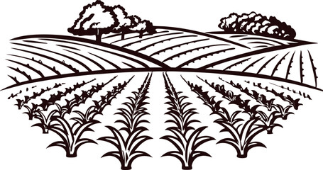 Black and white illustration of rural farmland with crop rows and trees on rolling hills