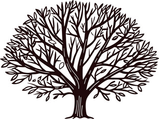 Fototapeta premium Intricate hand drawn illustration of a leafless tree with sprawling branches on white background