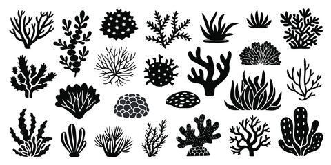 Silhouetted Seaweed and Coral Variety a Monochrome Aquatic Botanical Illustration Set Perfect for Nautical Themed Decorations and Educational Materials