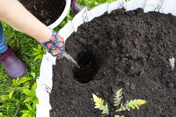 An older woman with blonde hair works in the garden. A woman is digging garden beds.