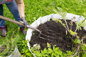 An older woman with blonde hair works in the garden. A woman is digging garden beds.