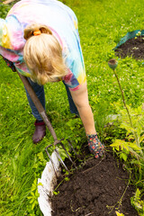 An older woman with blonde hair works in the garden. A woman is digging garden beds.