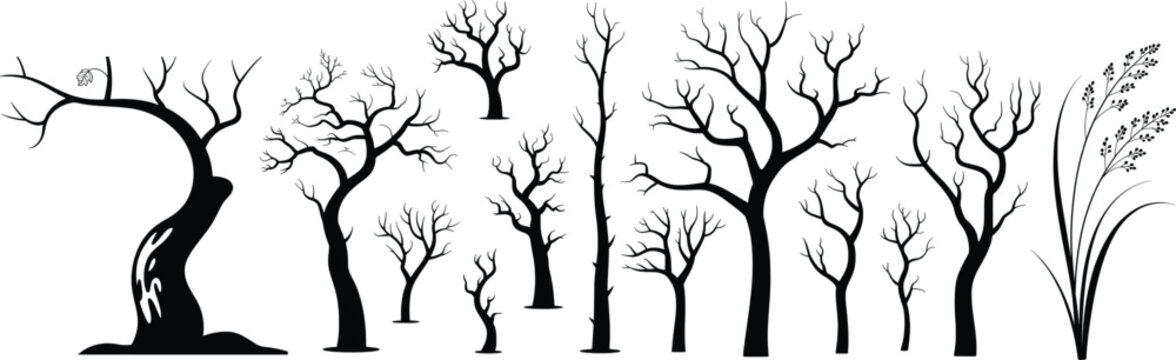 Vector illustration of black silhouette trees and plants on a white background for design elements
