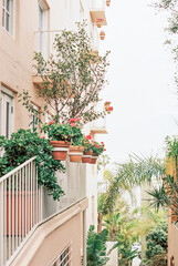 San Diego La Jolla California