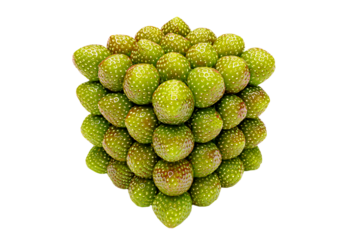 a bunch of green fruit on a white surface