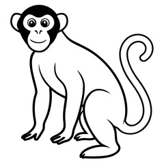 Fototapeta premium Monkey