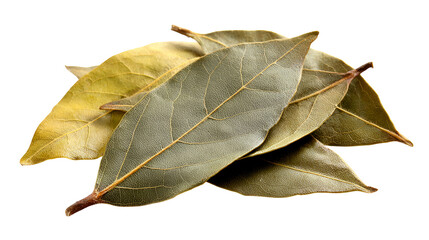Fototapeta premium Dried bay leaves aromatic spice herb cooking ingredient