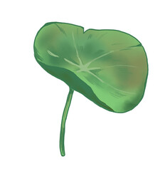 Single green leaf with spring flowers on white background