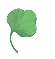 Fresh illustion green leaf, naturally isolated on a white background, perfect for a single, vibrant plant macro