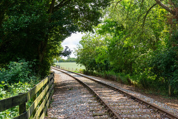 railway in the woods