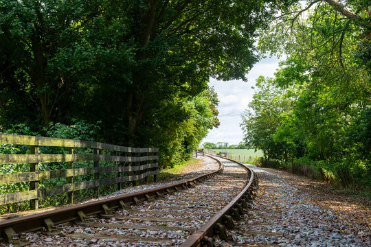 railroad tracks in the forest
