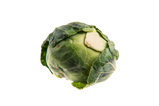 a close up of a cabbage head with a piece of apple on it