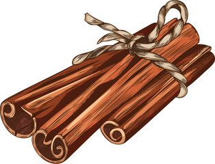 Vector, watercolor sketch of cinnamon stick tied with a rope.