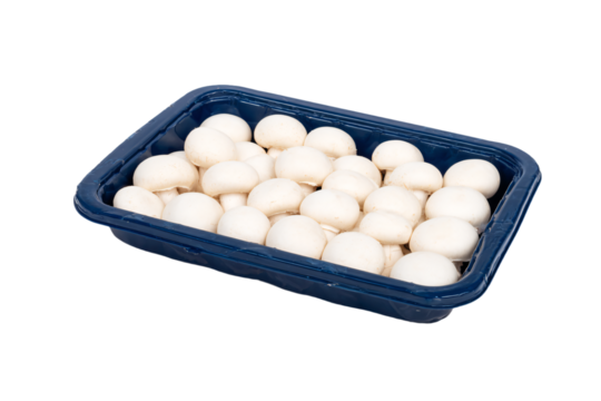 a blue container filled with white mushrooms