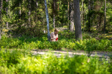 Blond woman picking blueberries in swedish forest outside stockholm during summer