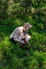 Blond woman picking blueberries in swedish forest outside stockholm during summer