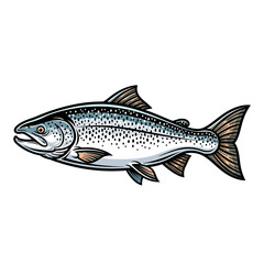 Obraz premium Side view of a stylized salmon, detailed line art.