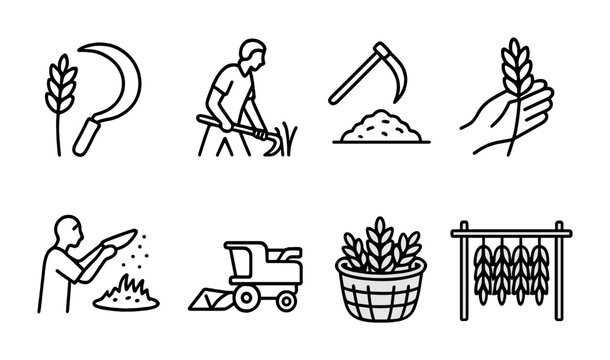 Harvest Techniques Icons. Outline icon set of harvesting techniques: sickle cutting, scythe swing, threshing