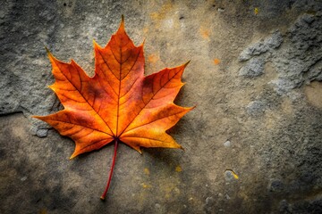 Bright orange maple leaf in full autumn color lying on a weathered stone surface, showcasing the natural textures and beauty of the fall season