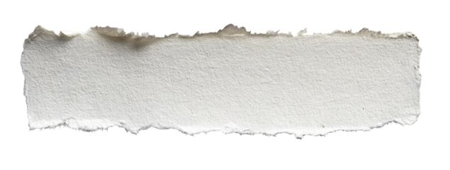 Ripped white paper strip (3)