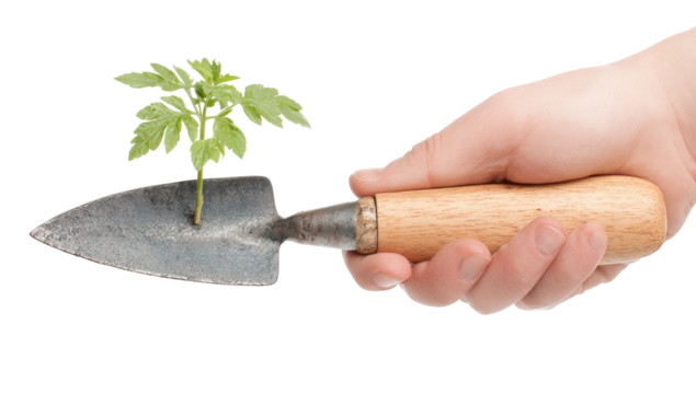 A hand holds a small trowel with a young plant