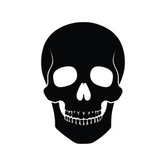 Highly Detailed Black and White Skull Vector Illustration, Human Skeleton Head
