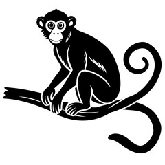 Obraz premium Monkey in a tree branch