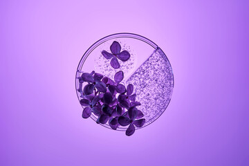 A petri dish with a beautiful serum texture on a purple background with lilac flowers.