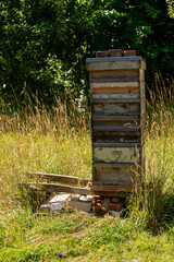 bee hives in the forest