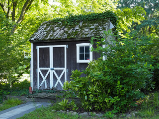 Front View of Old Rustic Garden Shed with Moss and Ivy