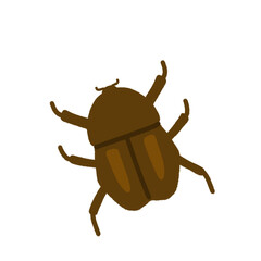 カブトムシ（メス）のイラスト