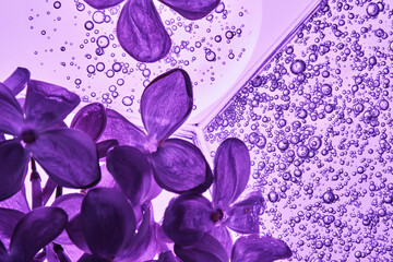 A petri dish with a beautiful serum texture on a purple background with lilac flowers.