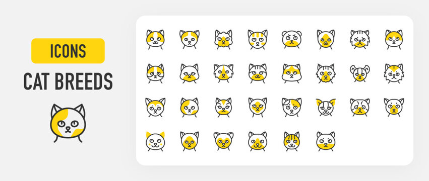 Cat breeds icons. Calico, Cymric Cat, British Shorthair Cat, Siamese Cat, Japanese Bobtail, Caracal, Tuxedo, Balinese, Golden British, Munchkin, Turkish vector stroke illustration.	

