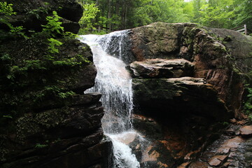 A Waterfall in the forest