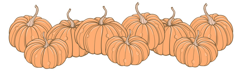Pumpkin thanksgiving element vector illustration
