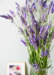 Fototapeta premium Lavande-bouquet-01