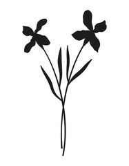 Bouquet of two matthiola flower silhouettes. Bunches of blooming wildflowers, perennial wild plants, minimal style. Botanical hand-drawn elements for design projects. Vector illustration