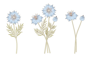 Set of three bouquets of blue nigella flowers. Bunches of blooming wildflowers with leaves, perennial wild plants. Botanical hand-drawn elements for design projects. Vector illustration