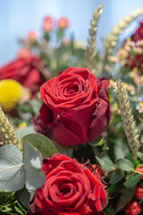 Red rose flower in bloom with smooth petals on an interior scene bouquet