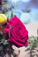 Red rose flower in bloom with smooth petals on an interior scene bouquet