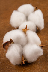 Dry cotton flower on vintage brown background