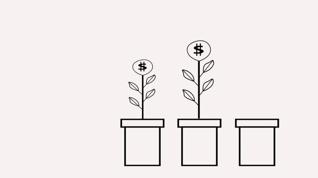 plant in a vase