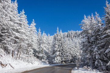 Winter adventure in the mountains. Winter's vacation.