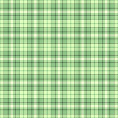 Seamless pastel green plaid pattern.  Perfect for textile design, springsummer fashion, website backgrounds, or any project needing a fresh, calming aesthetic.
