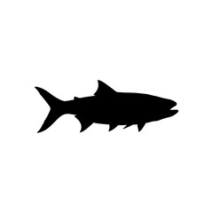 Tarpon fish silhouette vector flat illustration design. 