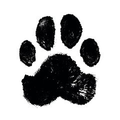 grunge textured animal pet dog cat bear paw icon print -vet vector art illustration brush - footprint silhouette veterinary logo © Numrah