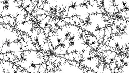 Obraz premium Intricate botanical pattern of thorny branches